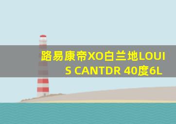 路易康帝XO白兰地LOUIS CANTDR 40度6L